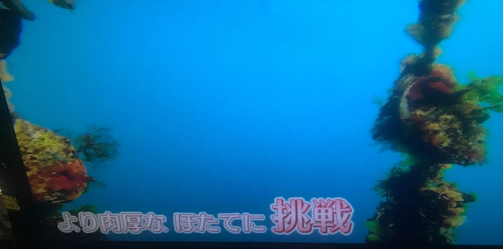 20センチの間