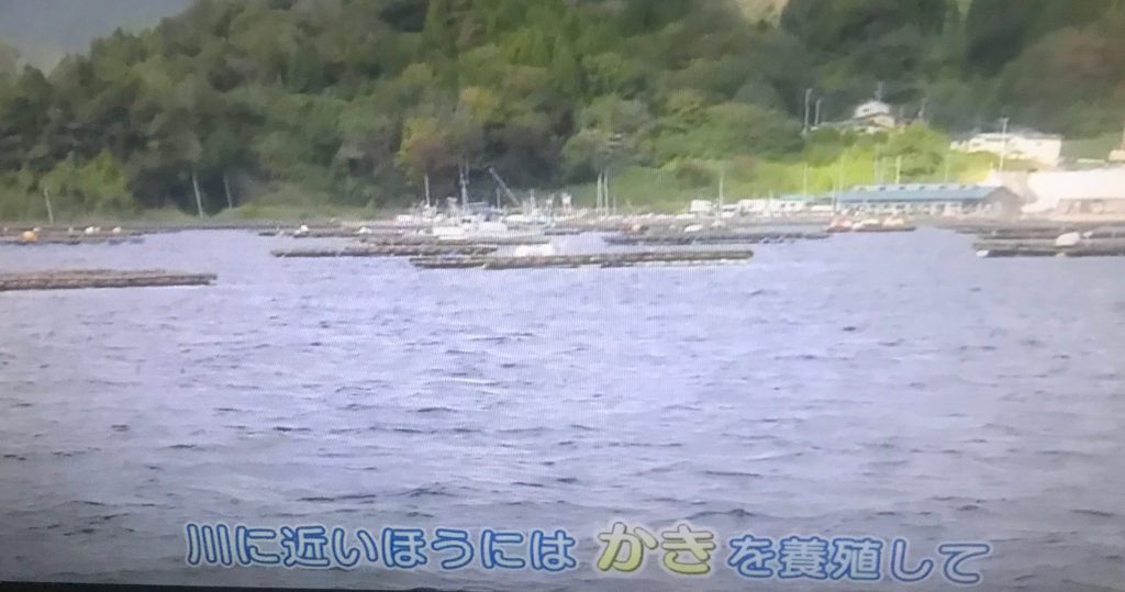 皮に近い海
