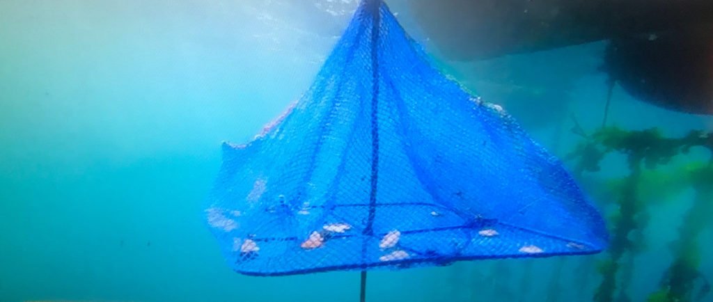 沖合の海