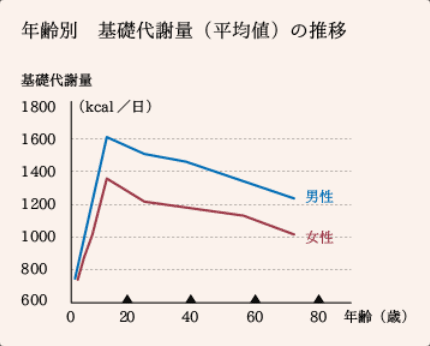 年齢別基礎代謝表