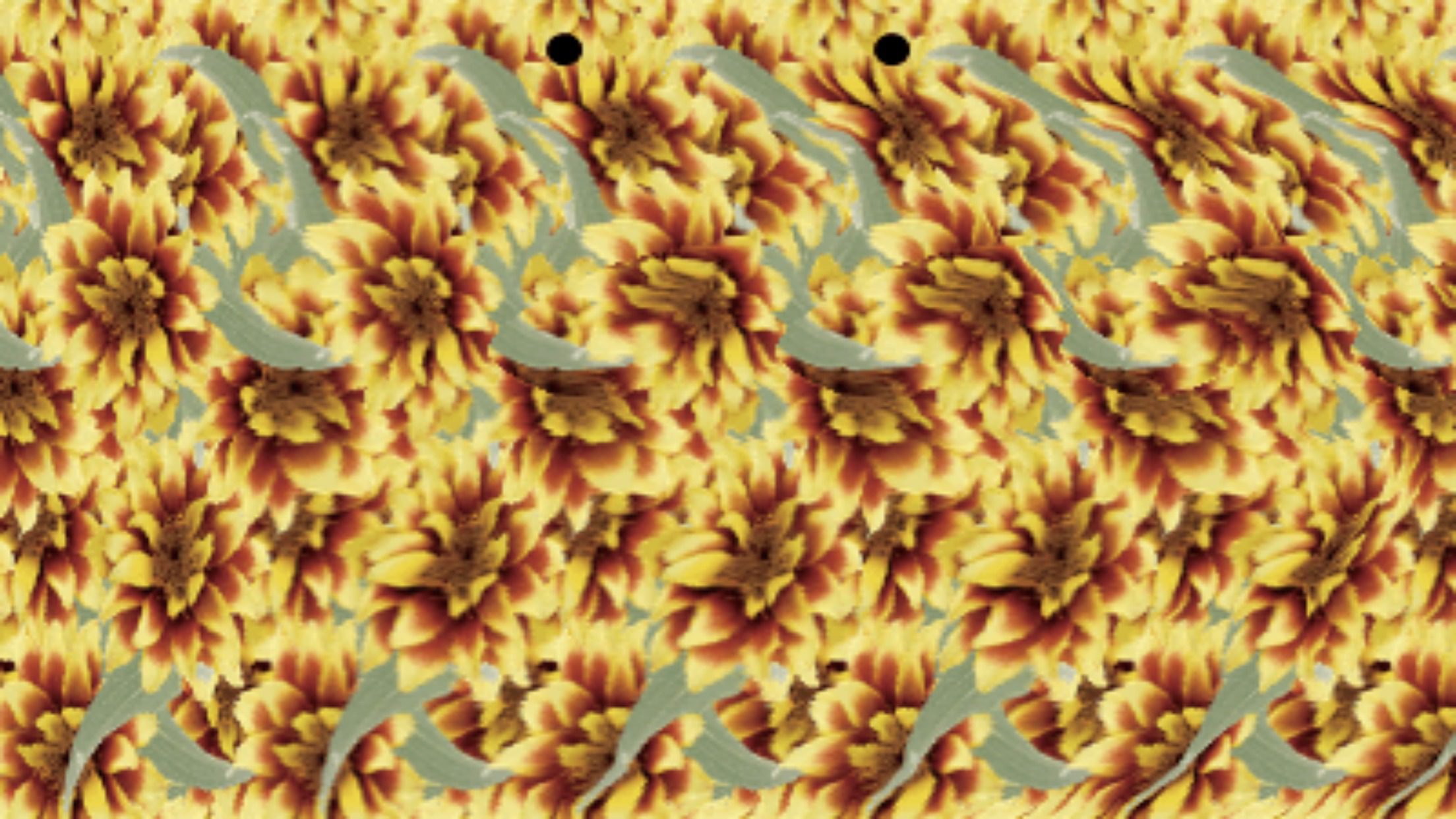 マジカルアイは近視改善に効果がない 効果がある 私の0 05と0 04の視力が 0 8と0 7まで復活 そんな私の実体験をお話します All Day Info